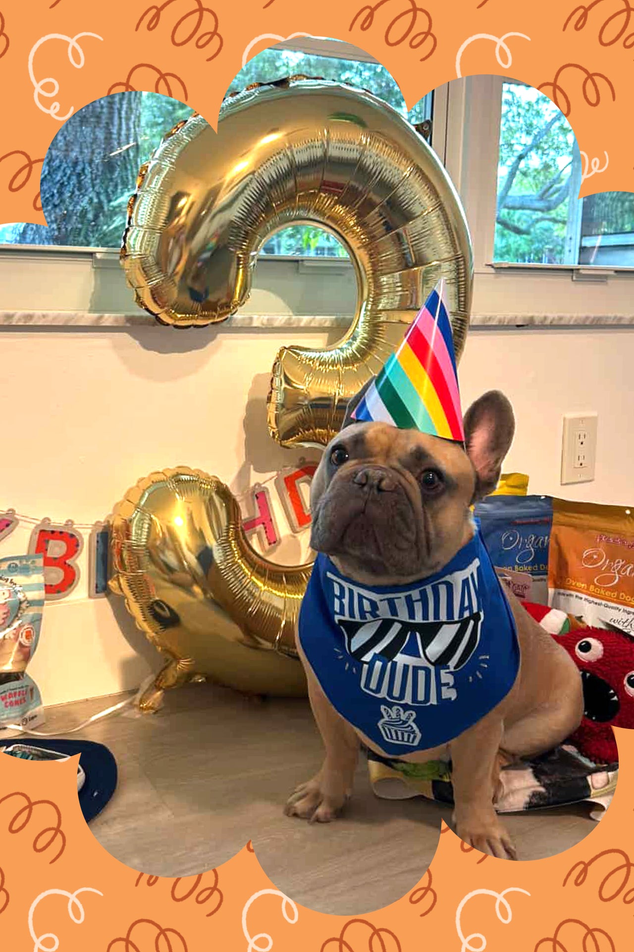Customize Dog Birthday Bandanna with Snaps