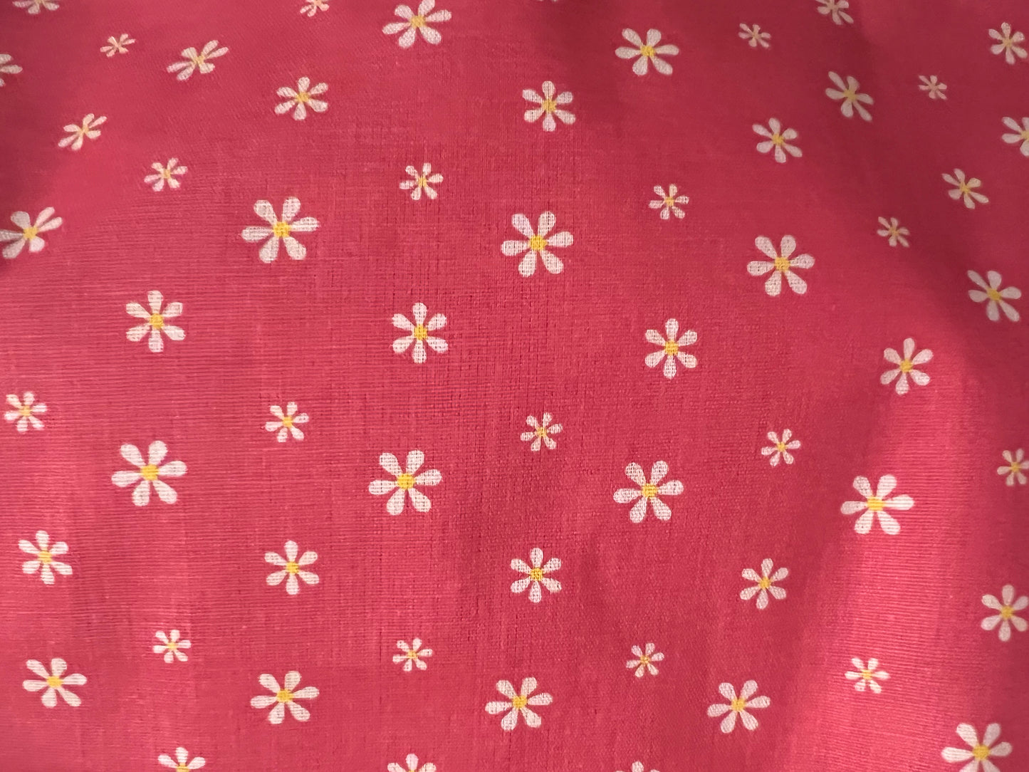 Customize Dog Birthday Bandanna with Snaps