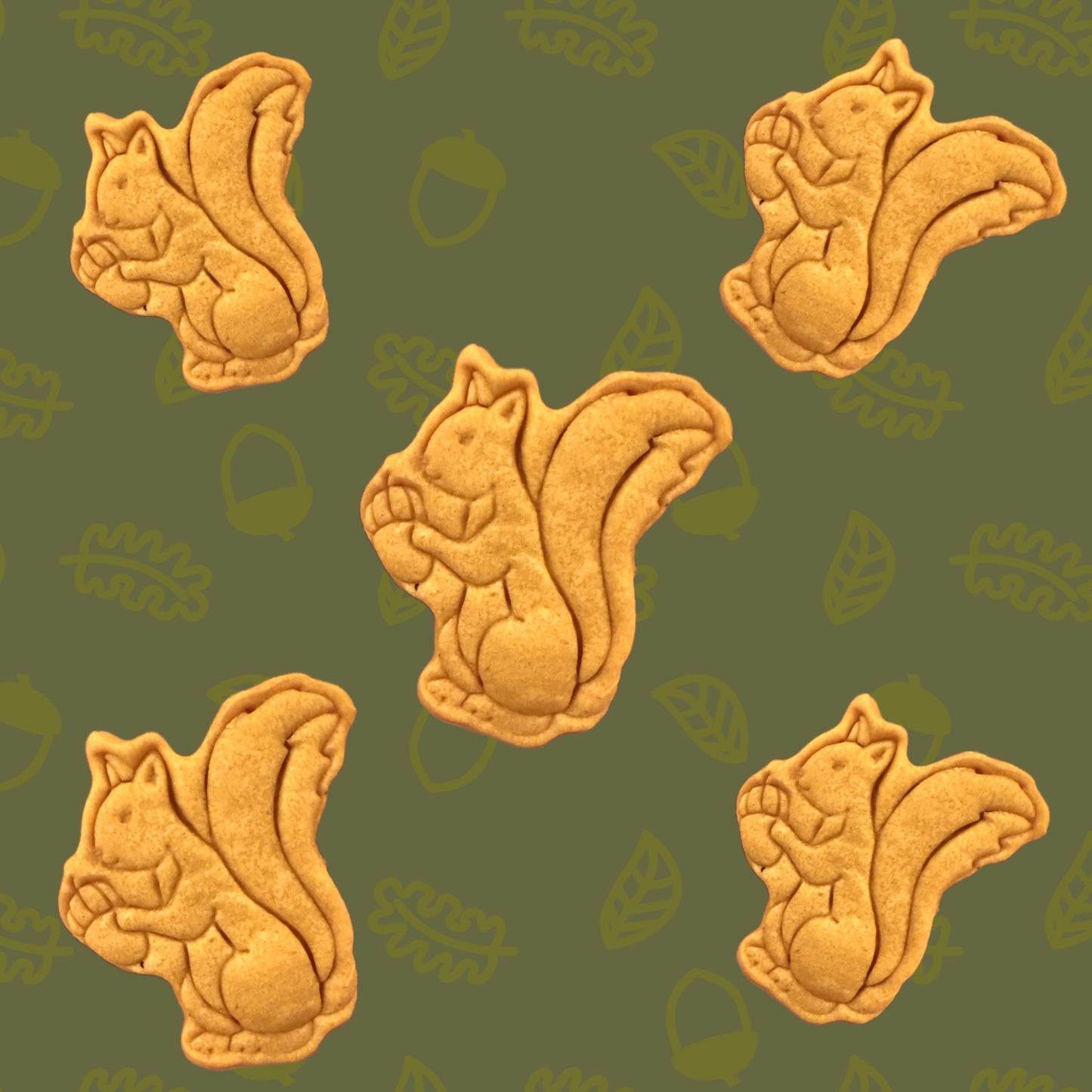 Squirrels and Acorns Organic Pumpkin and Peanut Butter Dog Treats