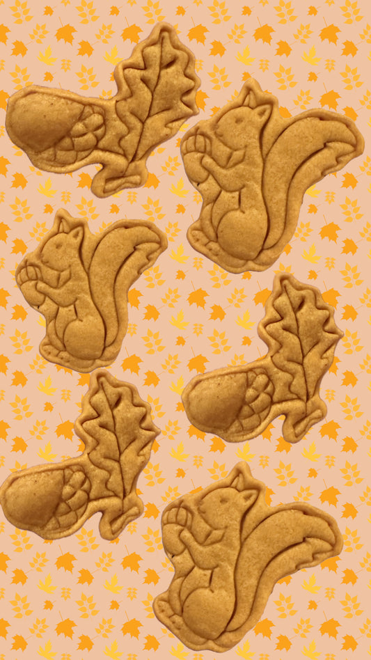 Squirrels and Acorns Organic Pumpkin and Peanut Butter Dog Treats