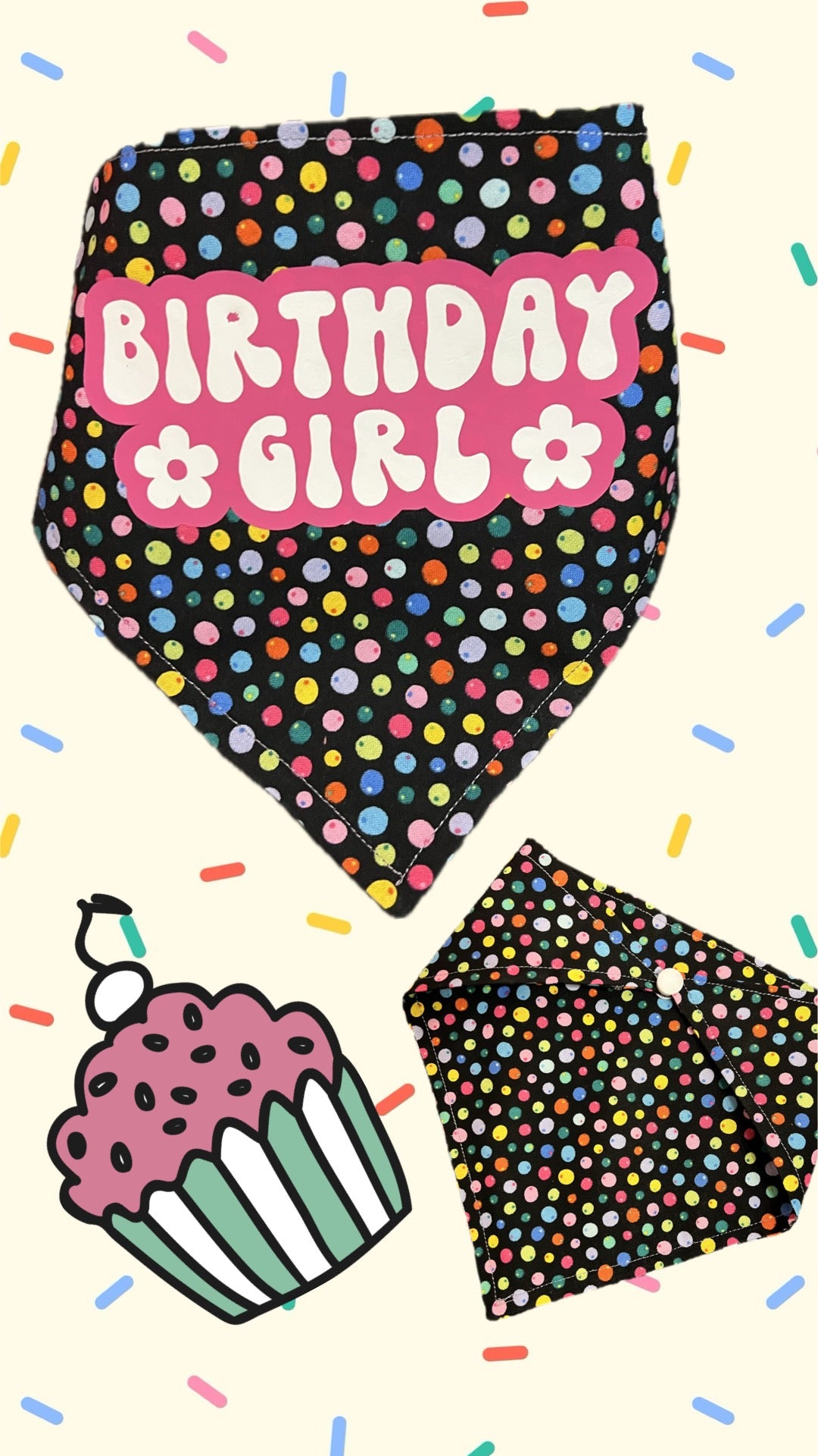 Birthday Package With Organic Treats, Personalized Bandana With Snaps And Hat/toy