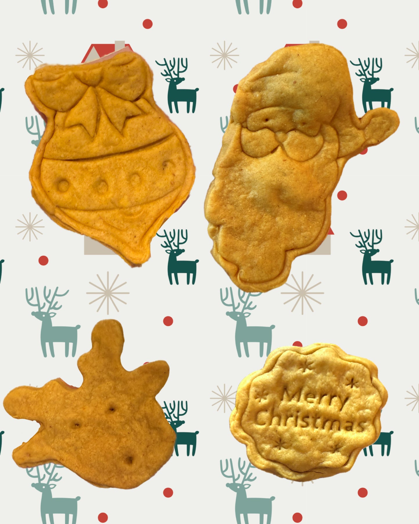 Christmas Organic Peanut Butter/Pumpkin Dog Medium Sized Treats