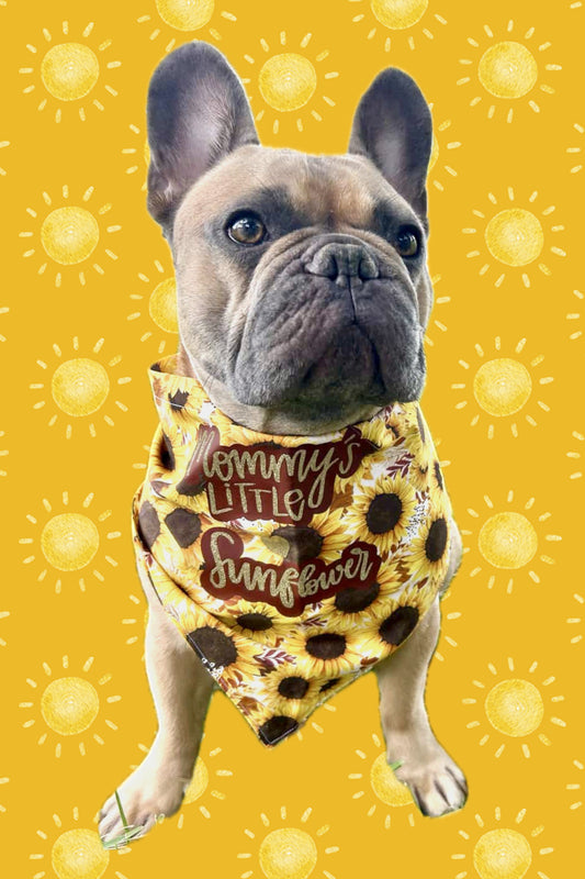 Sunflower Dog Bandana with wording “ Mommy’s Little Sunflower “