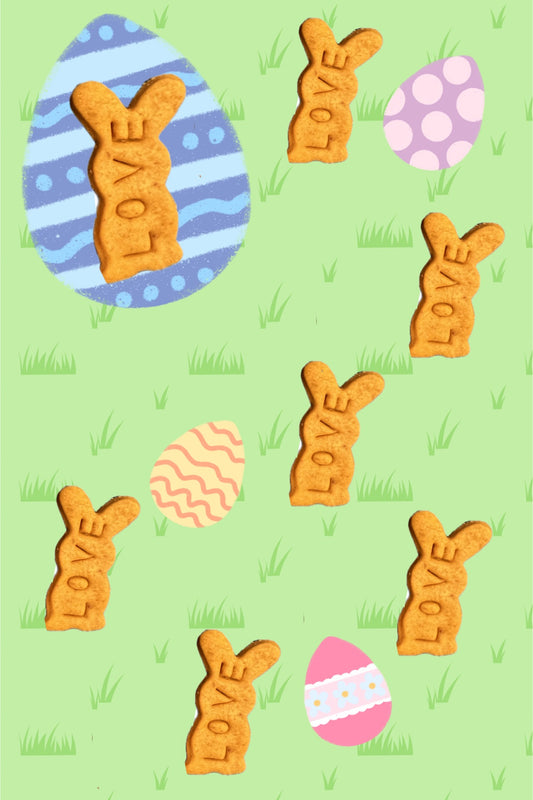 Mini Organic Easter Bunny Dog treats